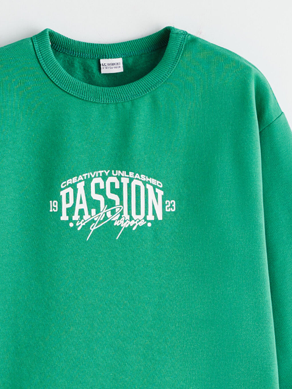 Yeşil Bisiklet Yaka Erkek Çocuk Sweatshirt 2'li-12