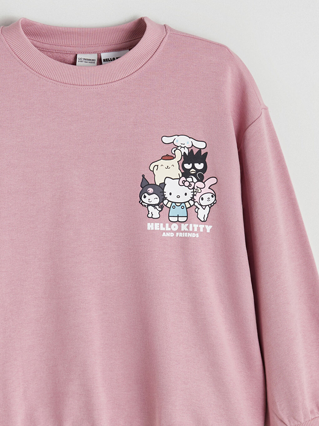 Crew Neck Hello Kitty Printed Girls' Sweatshirt-1
