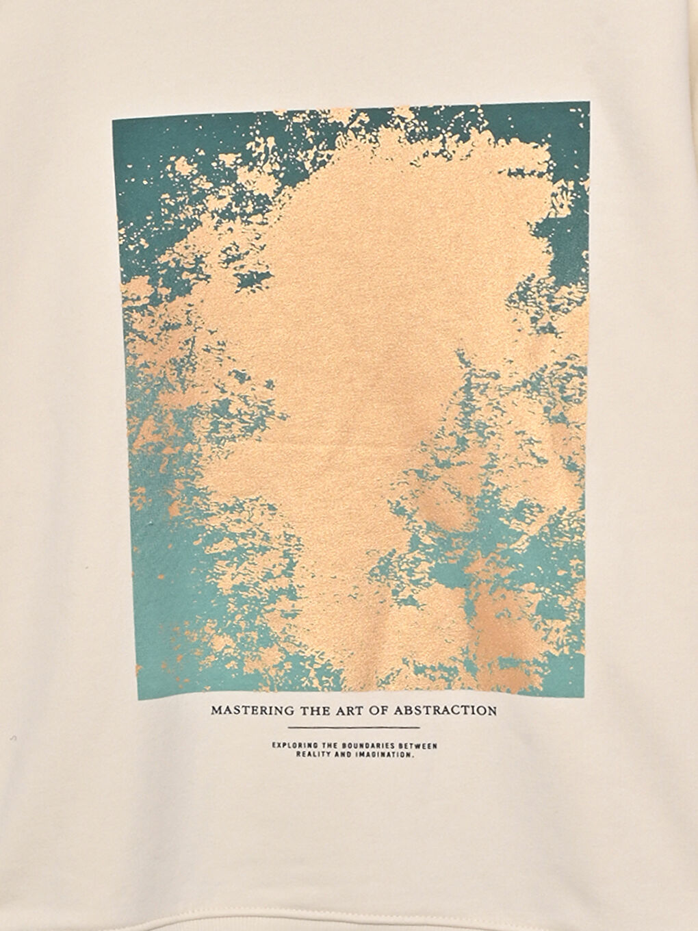 Crew Neck Printed Women's Sweatshirt-2