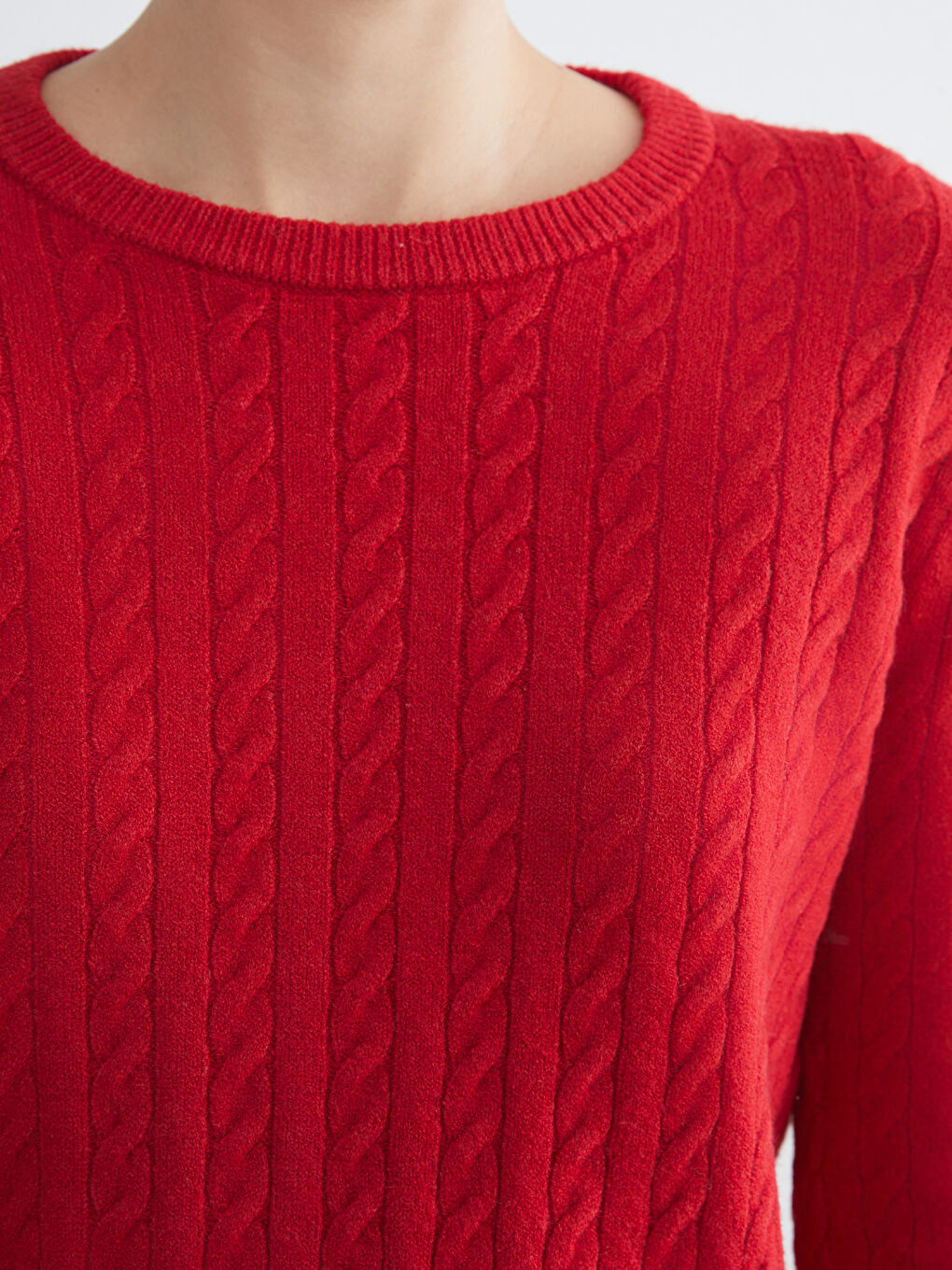 Crew Neck Self-Patterned Women's Knitwear Sweater-2