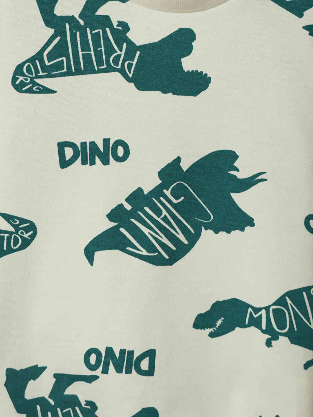 سويت شيرت مطبوع بياقة دائرية للأولاد-2