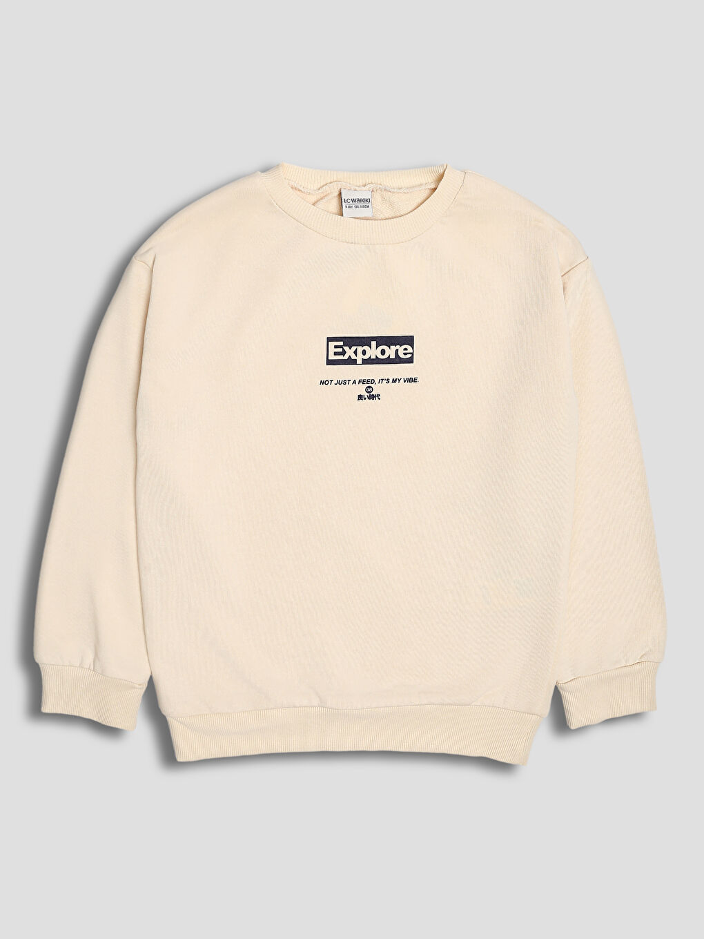 Text Printed Boys' Sweatshirt