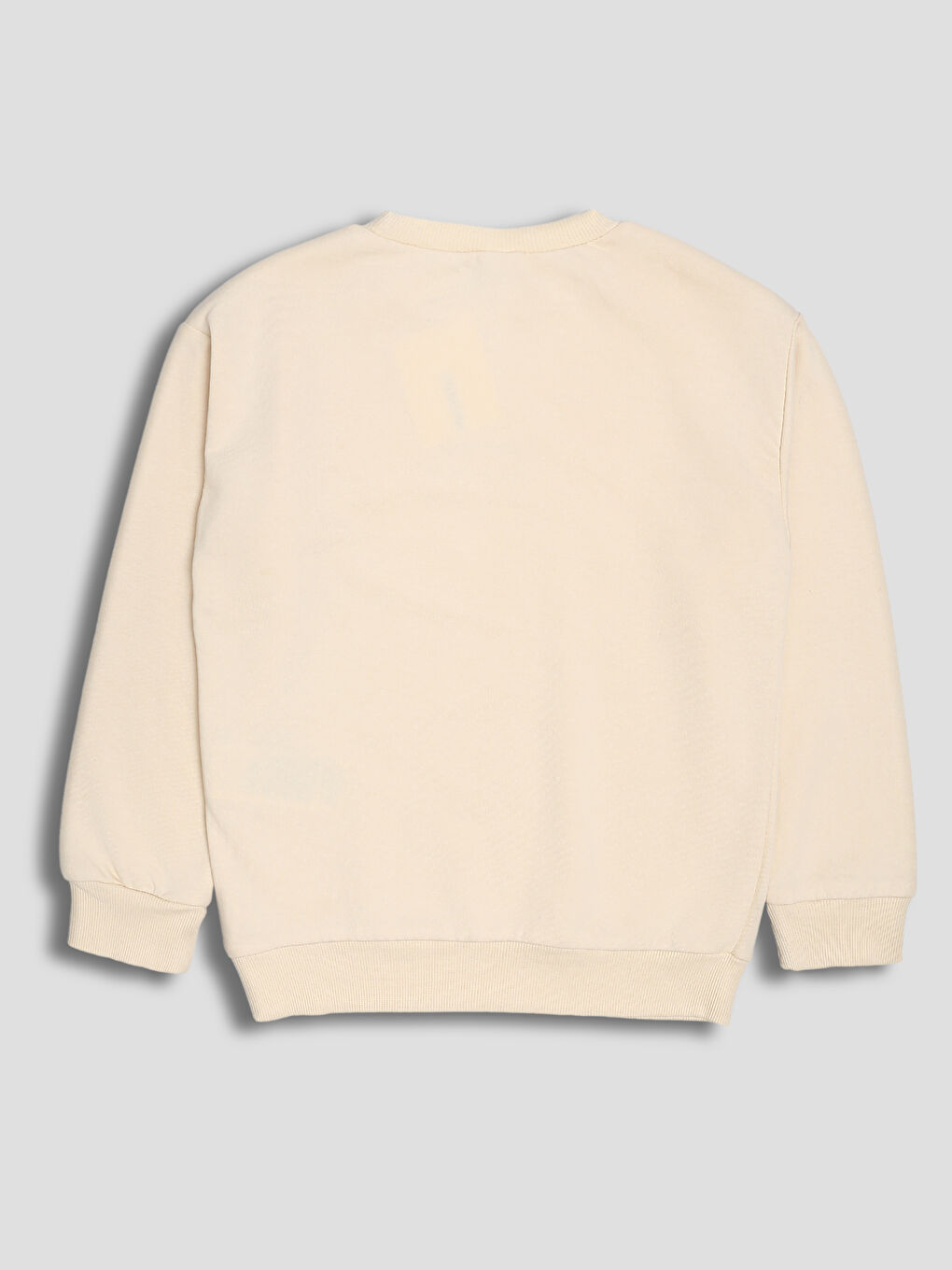 Text Printed Boys' Sweatshirt-1