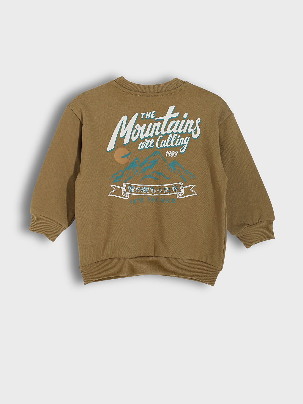 Crew Neck Boys' Sweatshirt-1