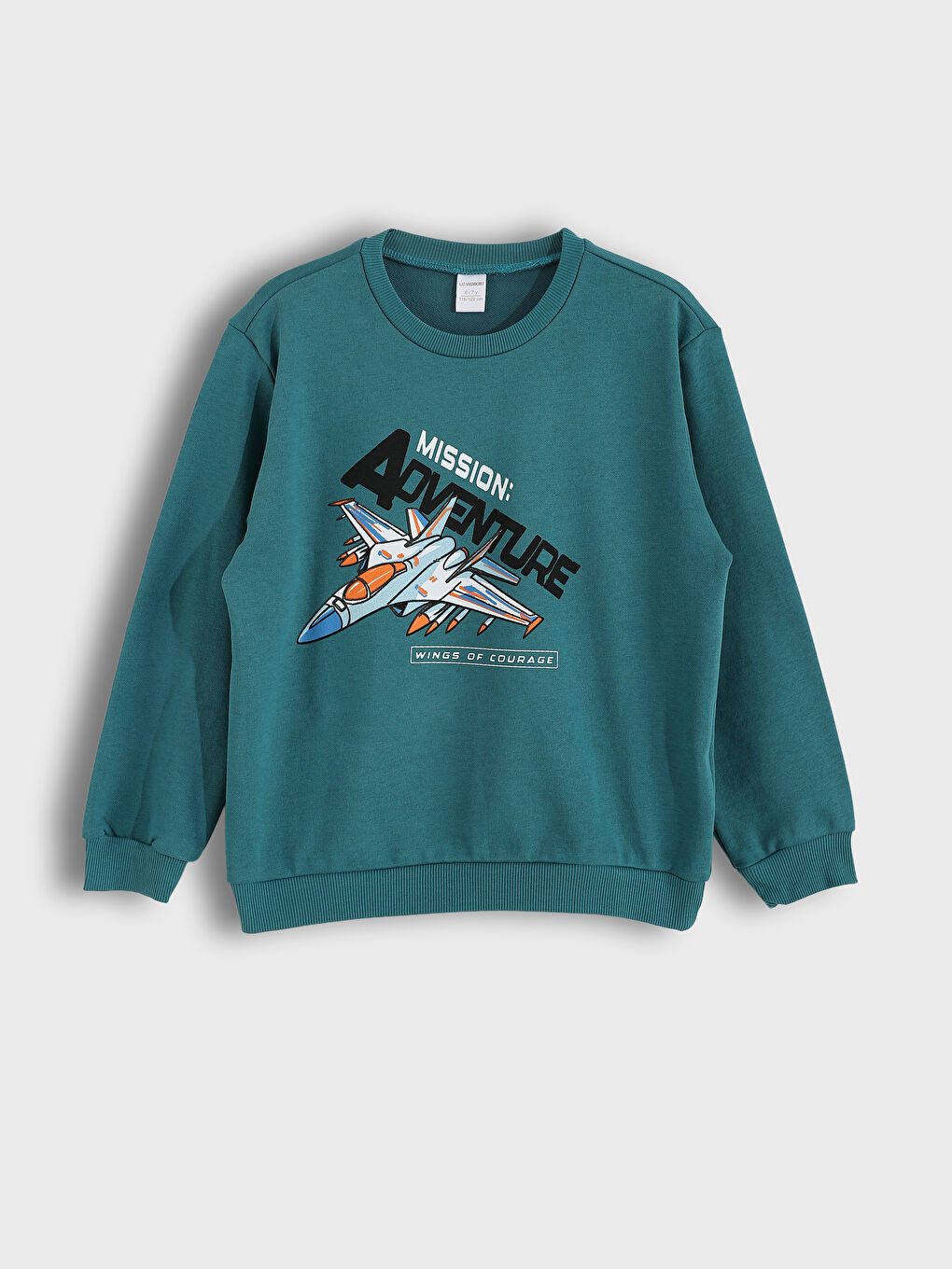 Crew Neck Boys' Sweatshirt 2 Pack-2