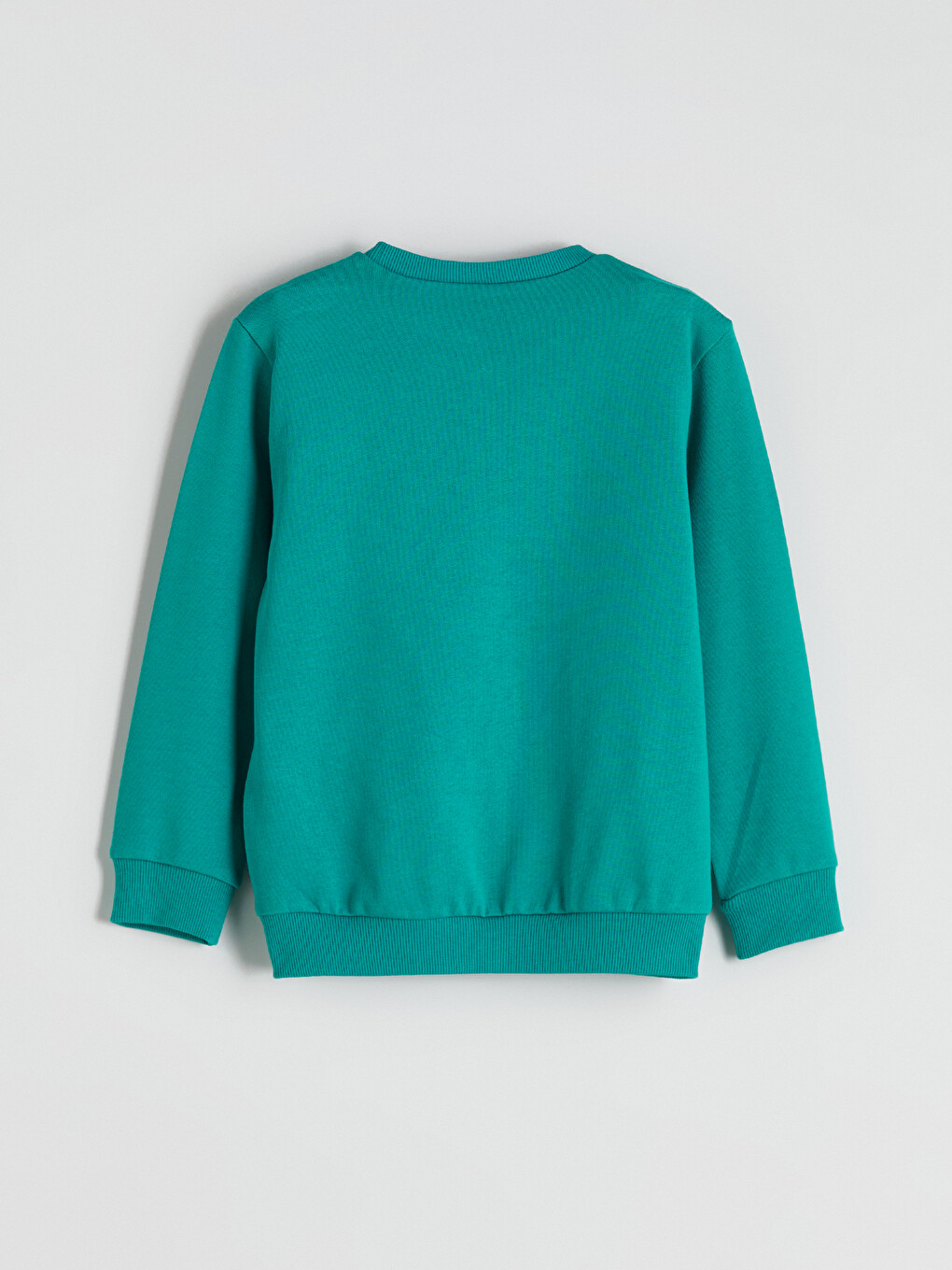 Turkuaz Baskılı Erkek Çocuk Sweatshirt-1