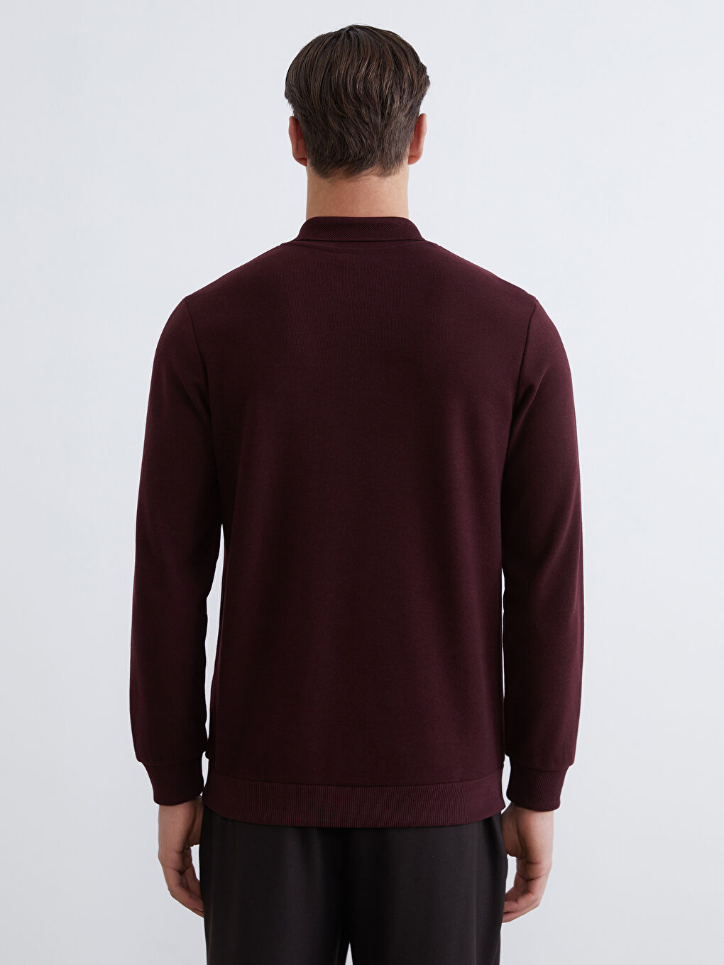 Ерлерге арналған поло жағалы свитшот-3