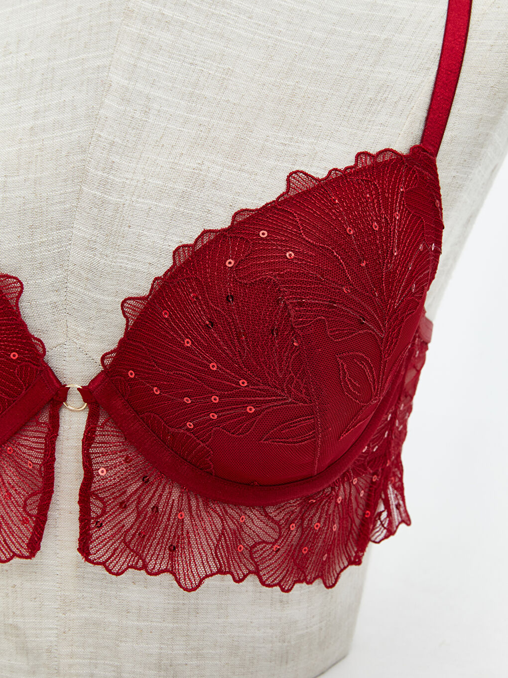 Wired Half Padded Lace Fancy T-Shirt Bra-2