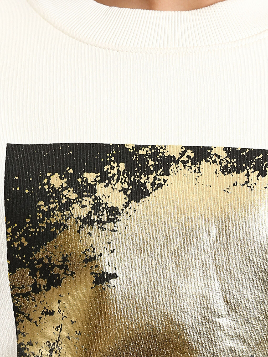 Crew Neck Printed Women's Thick Sweatshirt-5