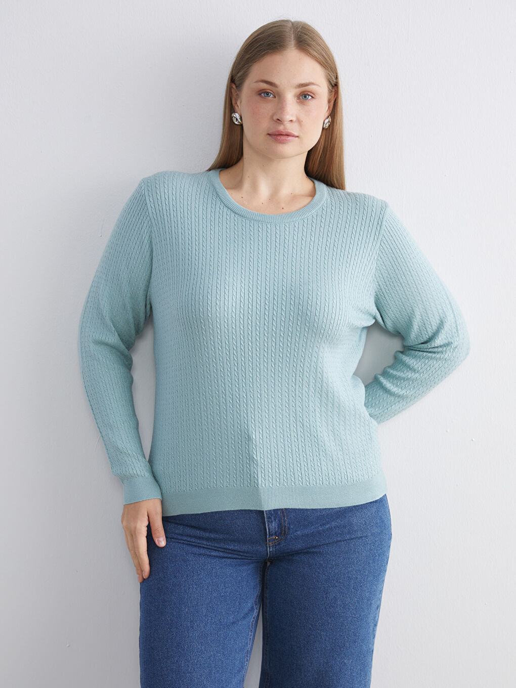 Crew Neck Self-Patterned Women's Knitwear Sweater-1