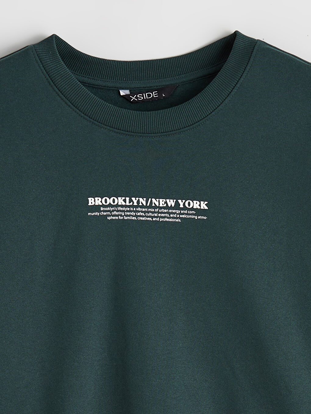 Crew Neck Printed Men's Thick Sweatshirt-1