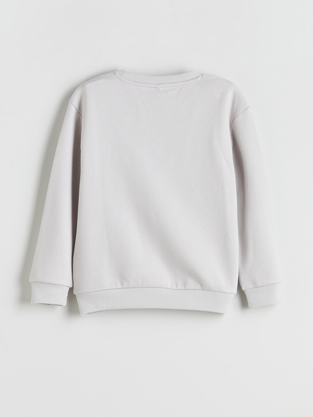 Bej Erkek Çocuk Aslan Ve Kaplan Baskılı Sweatshirt-1