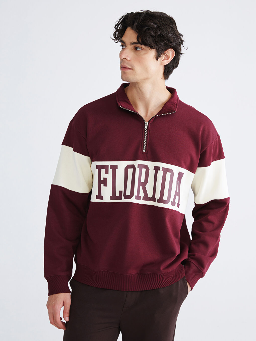 Funnel Neck Printed Florida Men's Thick Sweatshirt