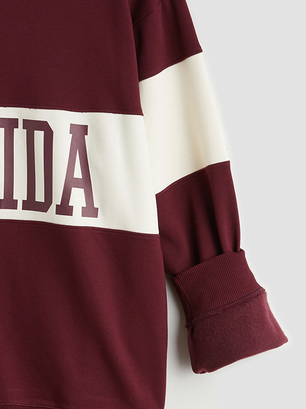 Funnel Neck Printed Florida Men's Thick Sweatshirt-6