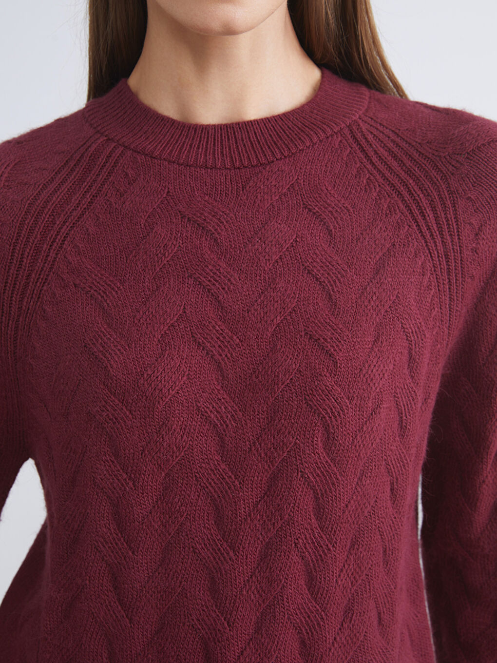 LCWAIKIKI Classic Crew Neck Self-Patterned Women's Knitwear Sweater -W5DC32Z8-HRW