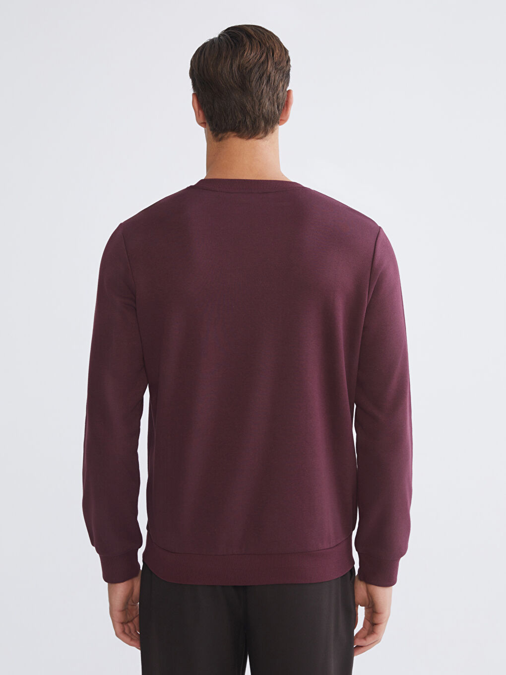 Crew Neck Printed Men's Thick Sweatshirt-6