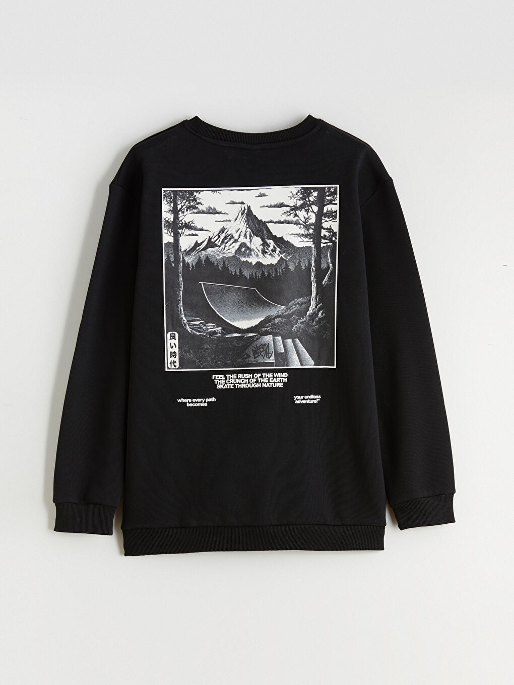 Ұлдарға арналған қалың принтті свитшот-4