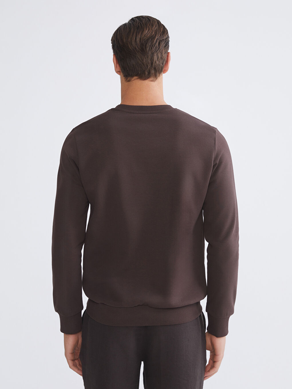 Kahverengi Standart Kalıp Bisiklet Yaka Baskılı Erkek Kalın Sweatshirt-3