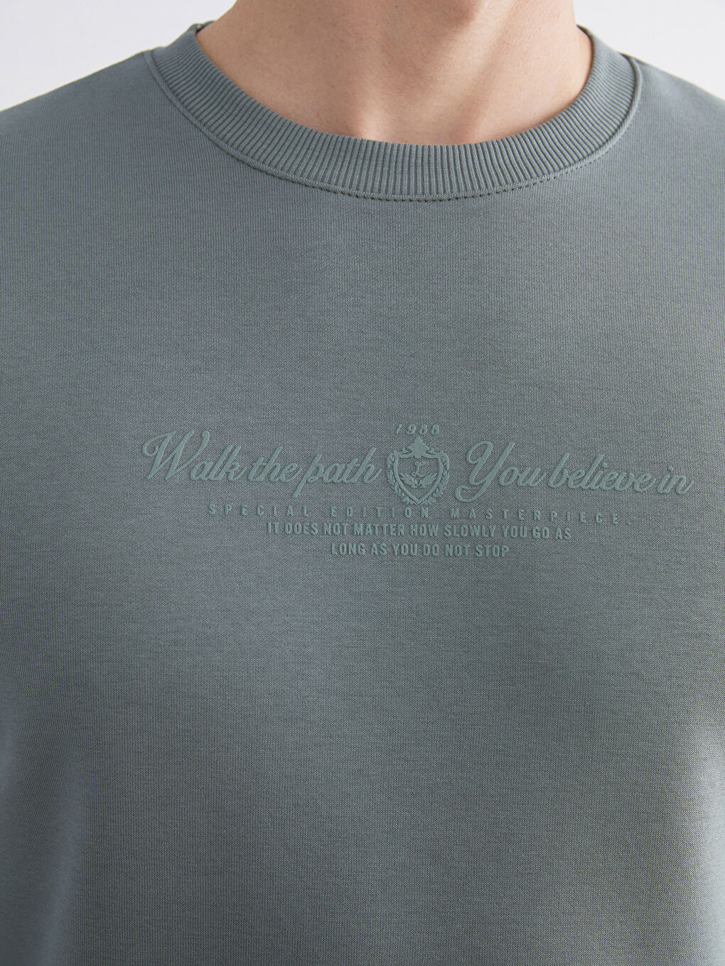 Yeşil Standart Kalıp Bisiklet Yaka Baskılı Erkek Kalın Sweatshirt-2