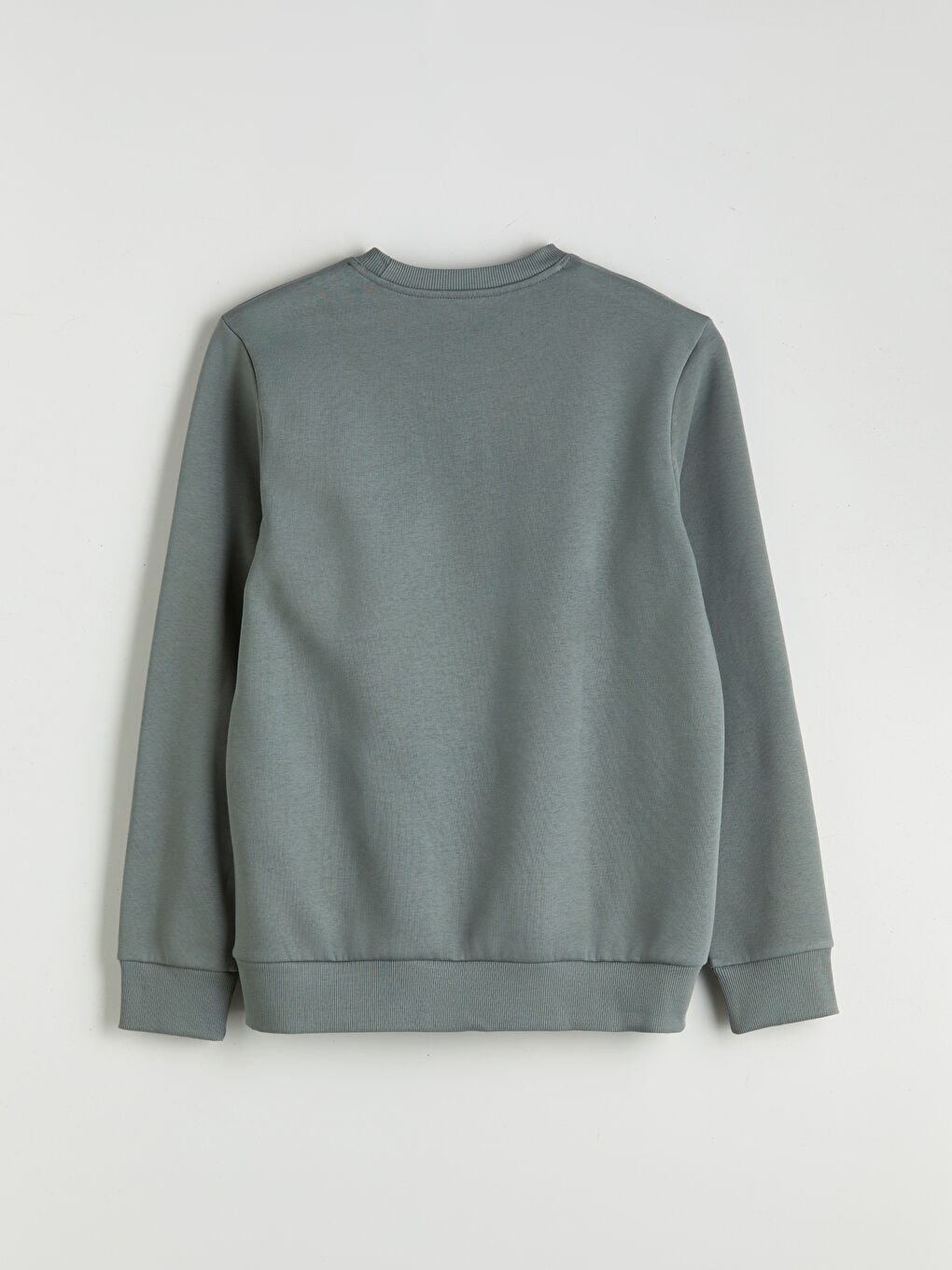 Yeşil Standart Kalıp Bisiklet Yaka Baskılı Erkek Kalın Sweatshirt-5