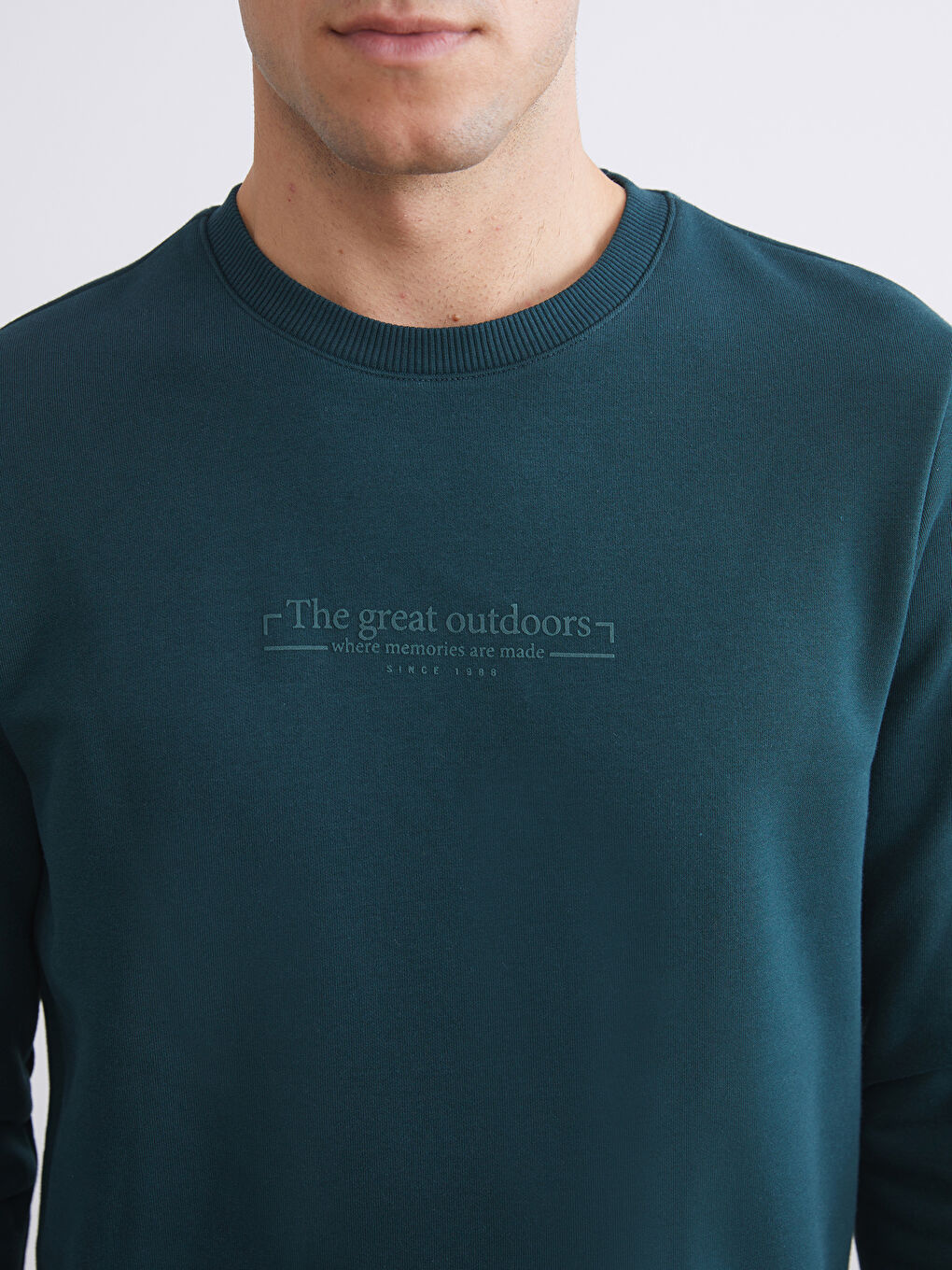 Crew Neck Printed Men's Thick Sweatshirt-2