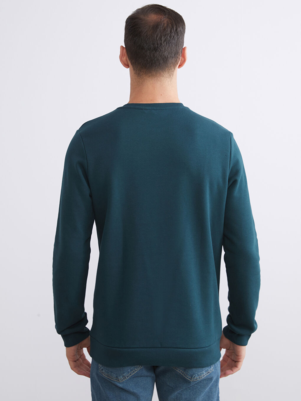 Crew Neck Printed Men's Thick Sweatshirt-3