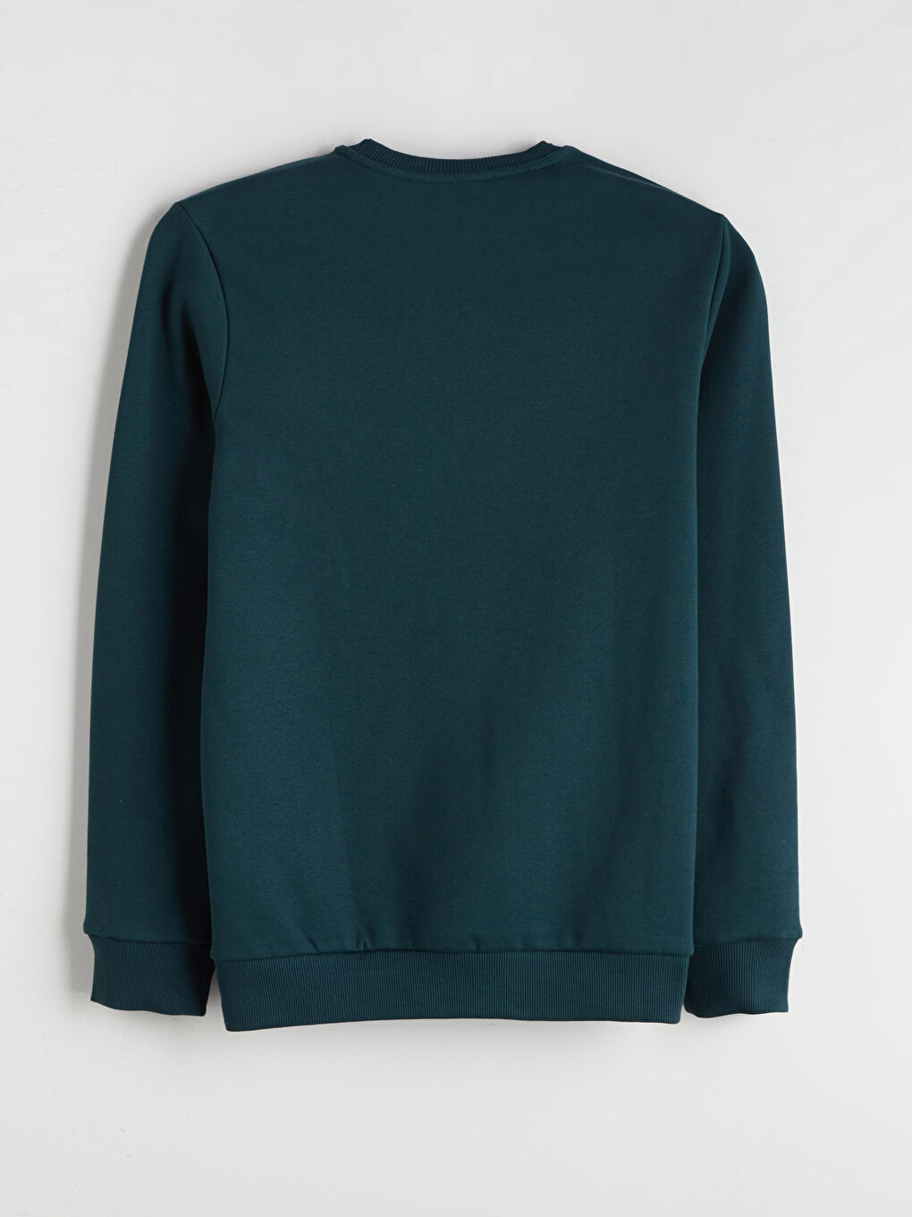 Crew Neck Printed Men's Thick Sweatshirt-5