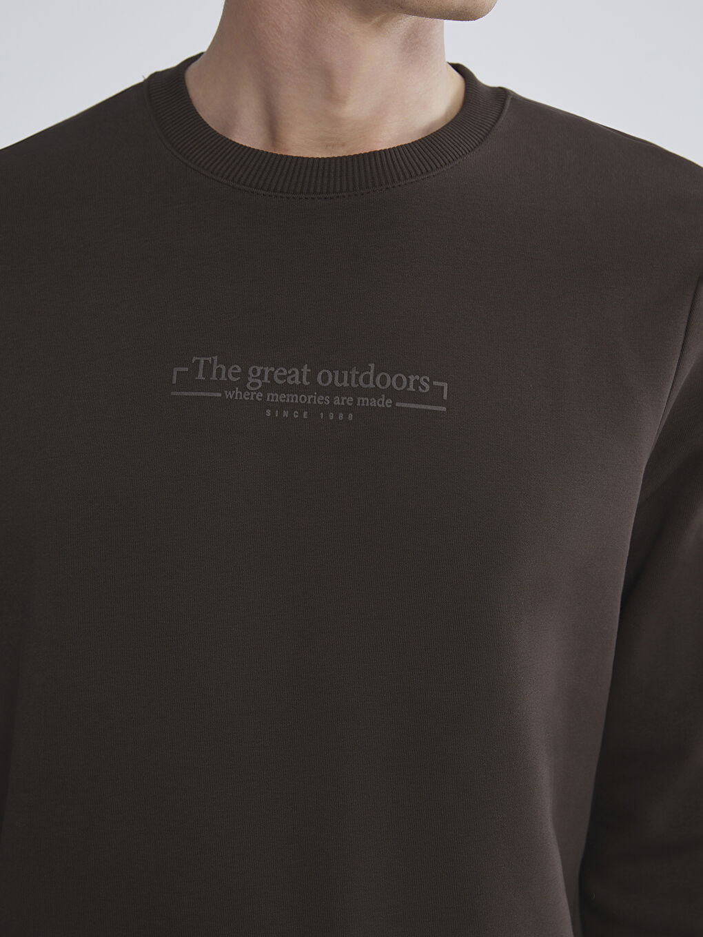 Crew Neck Printed Men's Thick Sweatshirt-2