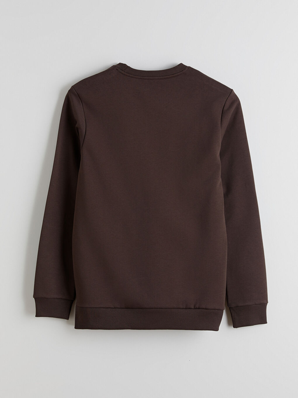 Crew Neck Printed Men's Thick Sweatshirt-6