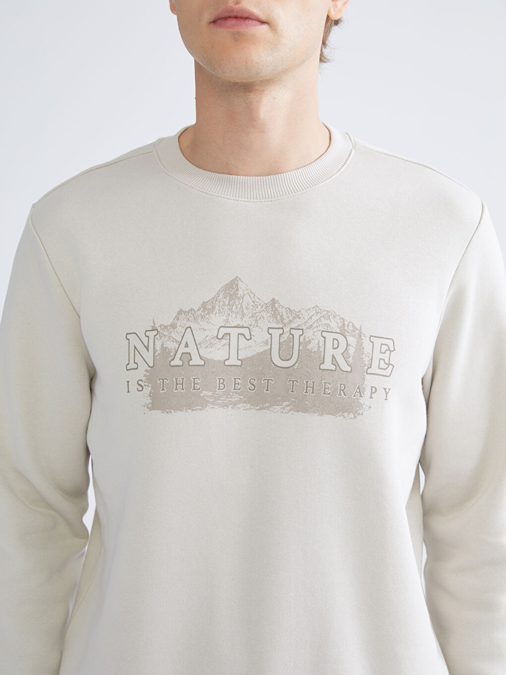 Crew Neck Printed Men's Sweatshirt-2