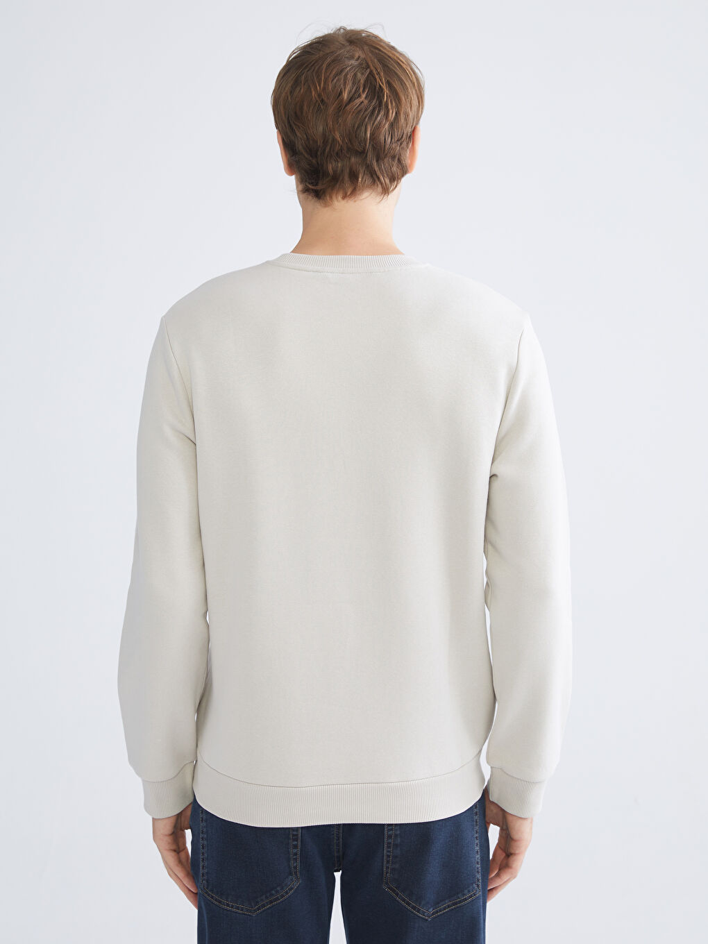 Crew Neck Printed Men's Sweatshirt-3