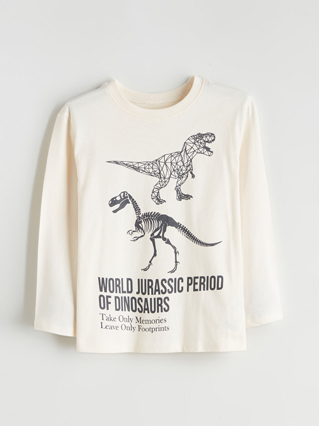 Crew Neck Dinosaur Printed Boys' T-Shirt