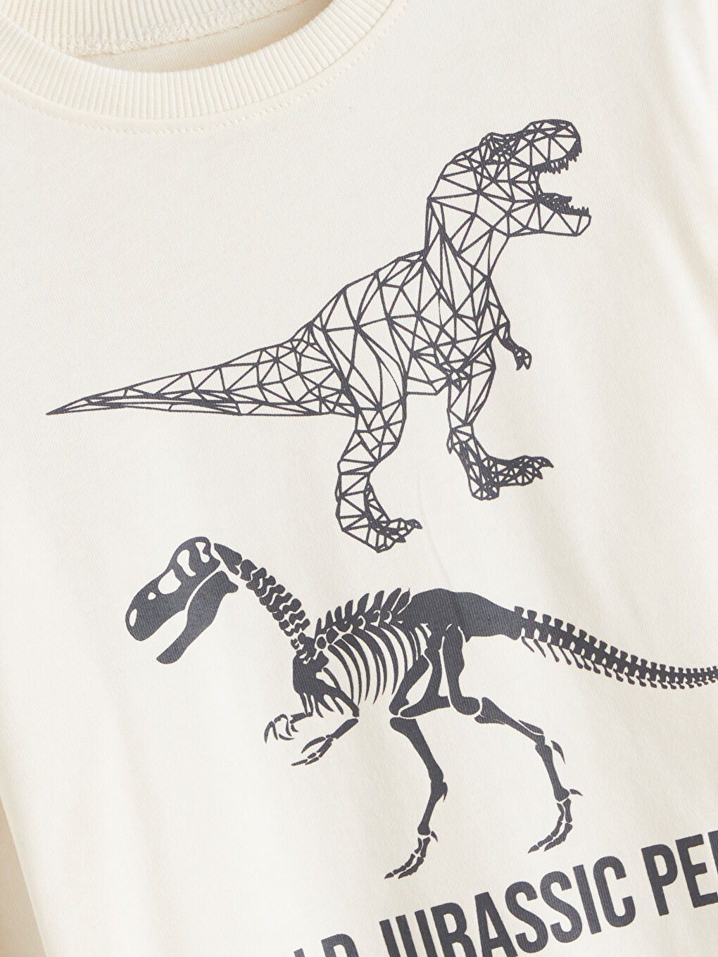 Crew Neck Dinosaur Printed Boys' T-Shirt-1