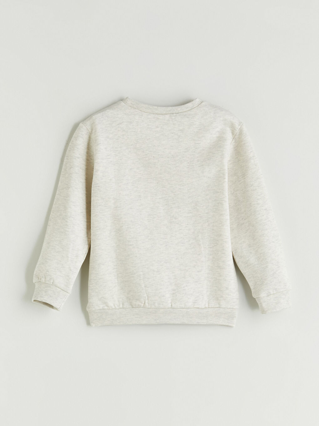 Crew Neck Printed Boys' Thick Sweatshirt-1