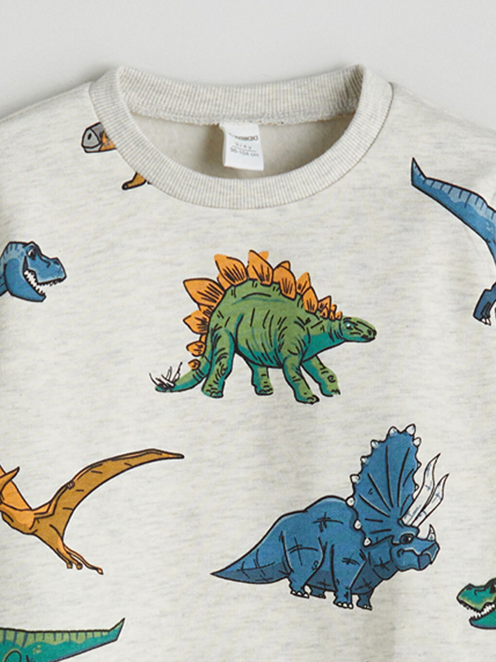 Dečji Debeli Duks Sa Štampom Dinosaura-3