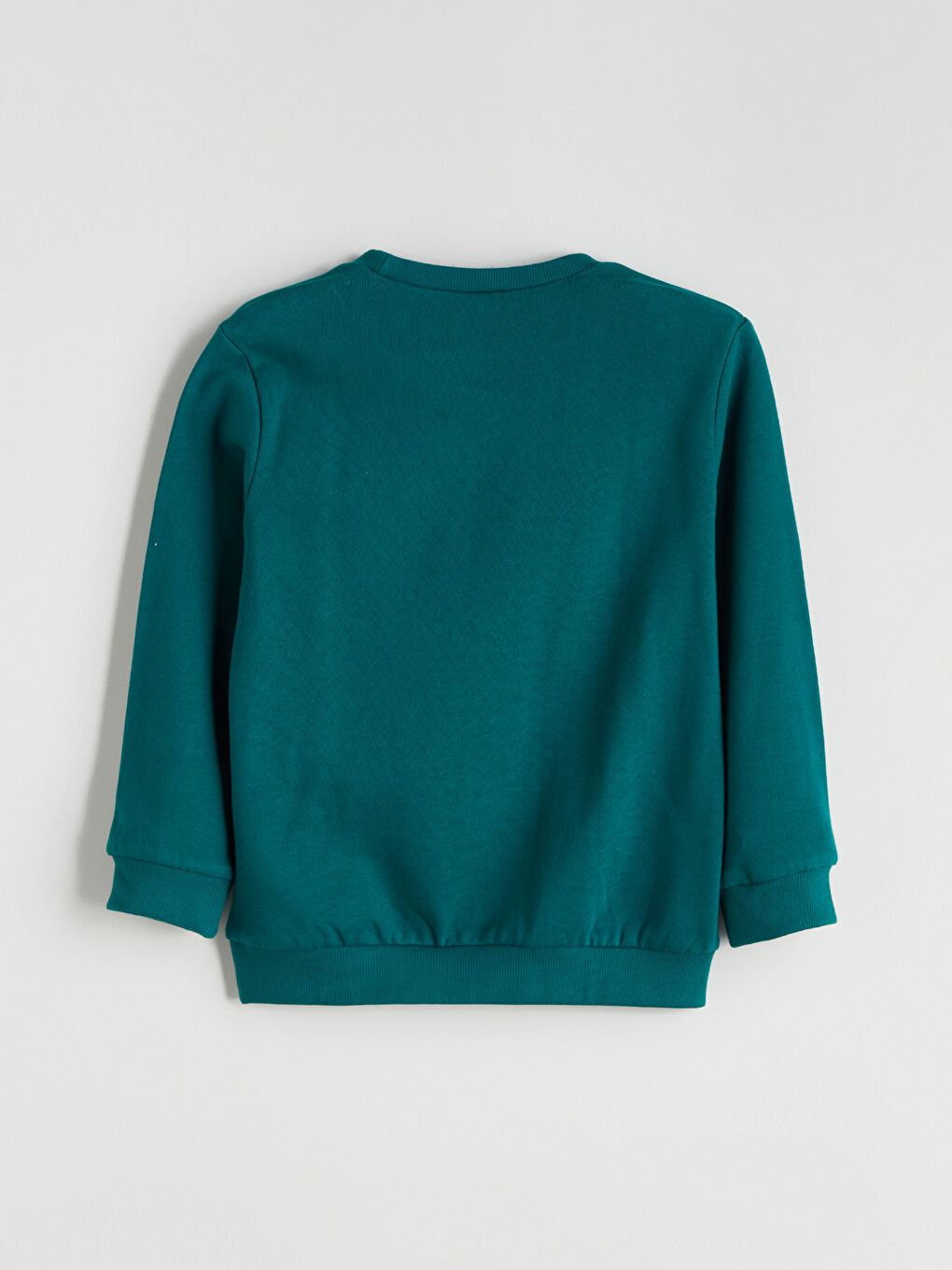 Crew Neck Printed Boys' Thick Sweatshirt-3