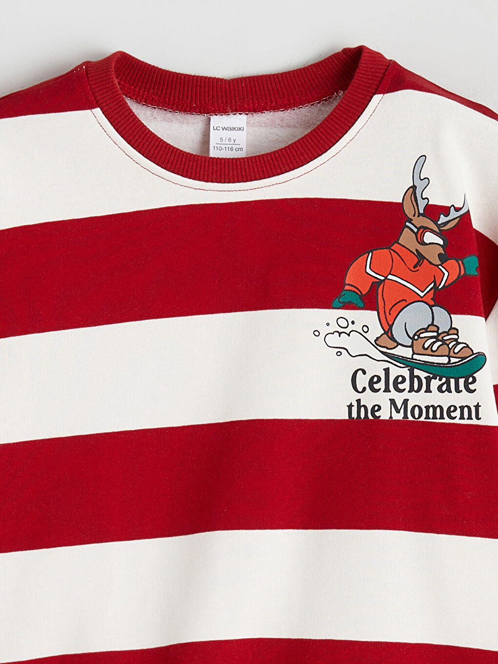 Crew Neck Striped Boys' Thick Sweatshirt-1