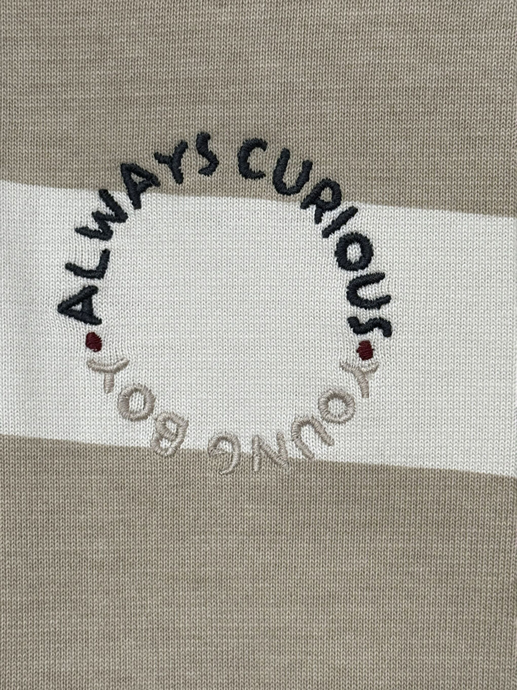 Polo Yaka Çizgili Erkek Çocuk Sweatshirt-2