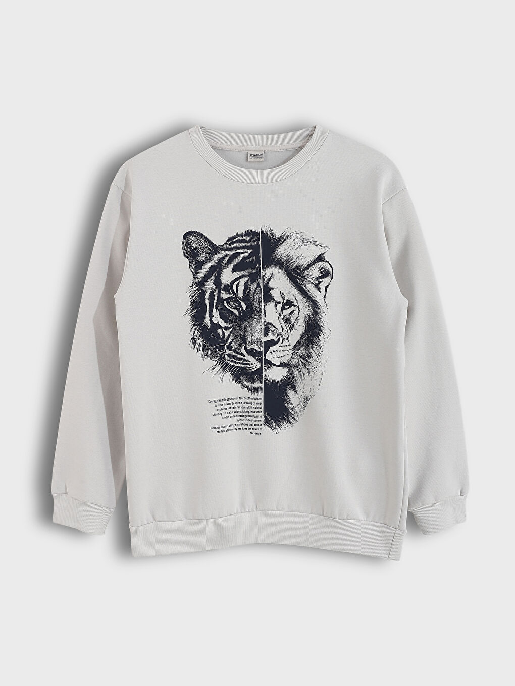 Printed Boys Sweatshirt and Sweatpants 2 Pack-1