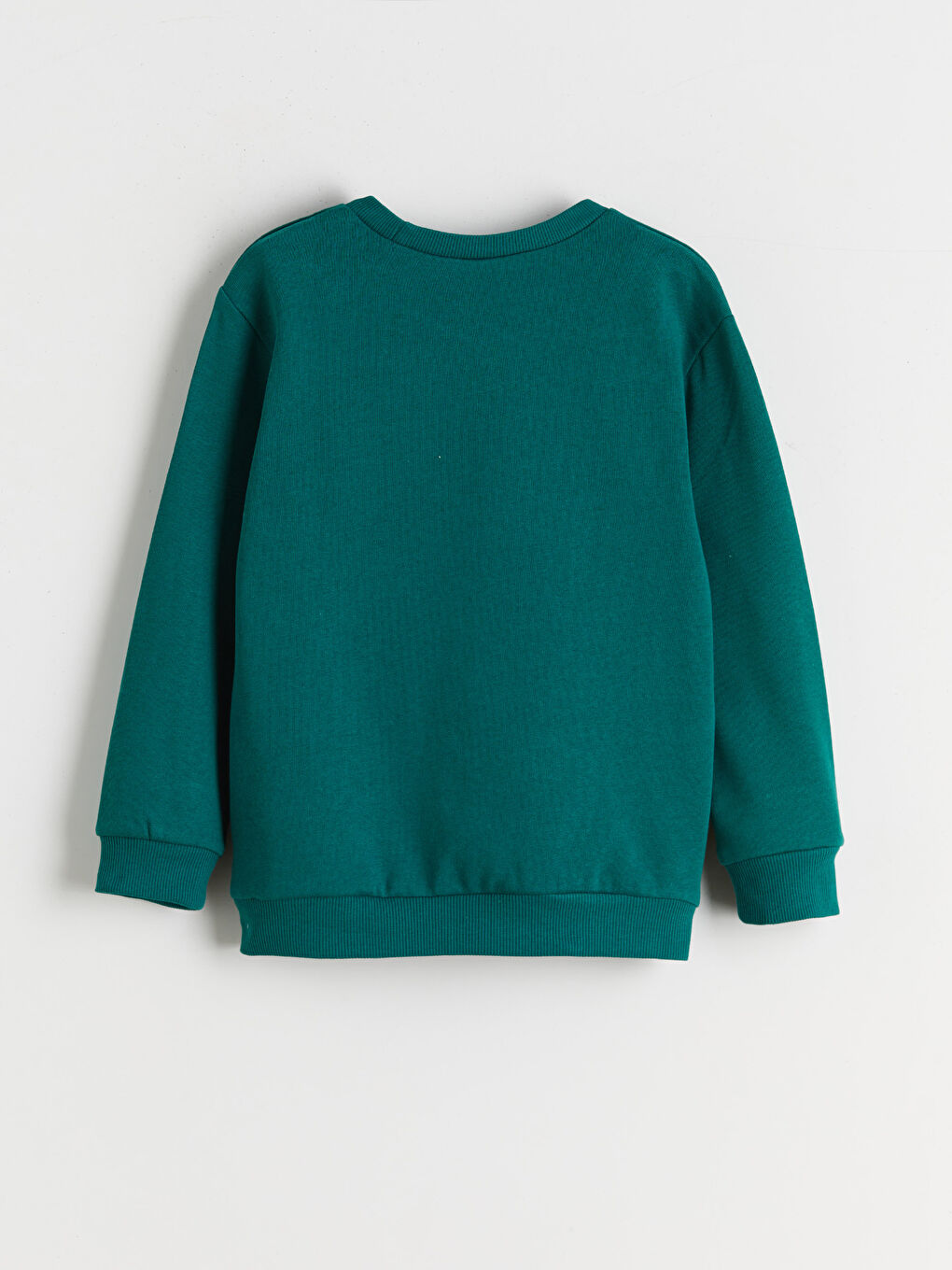 Yeşil Baskılı Erkek Çocuk Kalın Sweatshirt-1