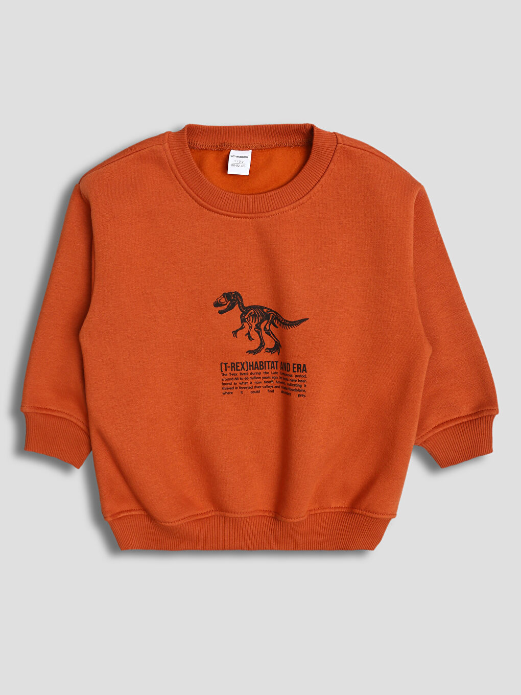 Crew Neck Printed Boys' Sweatshirt 2 Pack-1