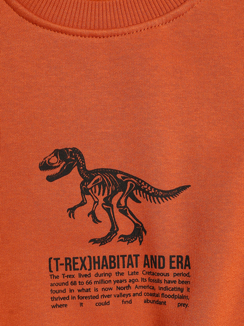 Crew Neck Printed Boys' Sweatshirt 2 Pack-3