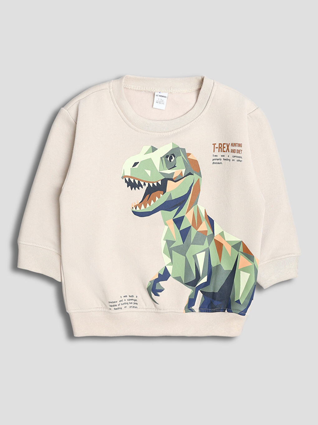 Crew Neck Printed Boys' Sweatshirt 2 Pack-4