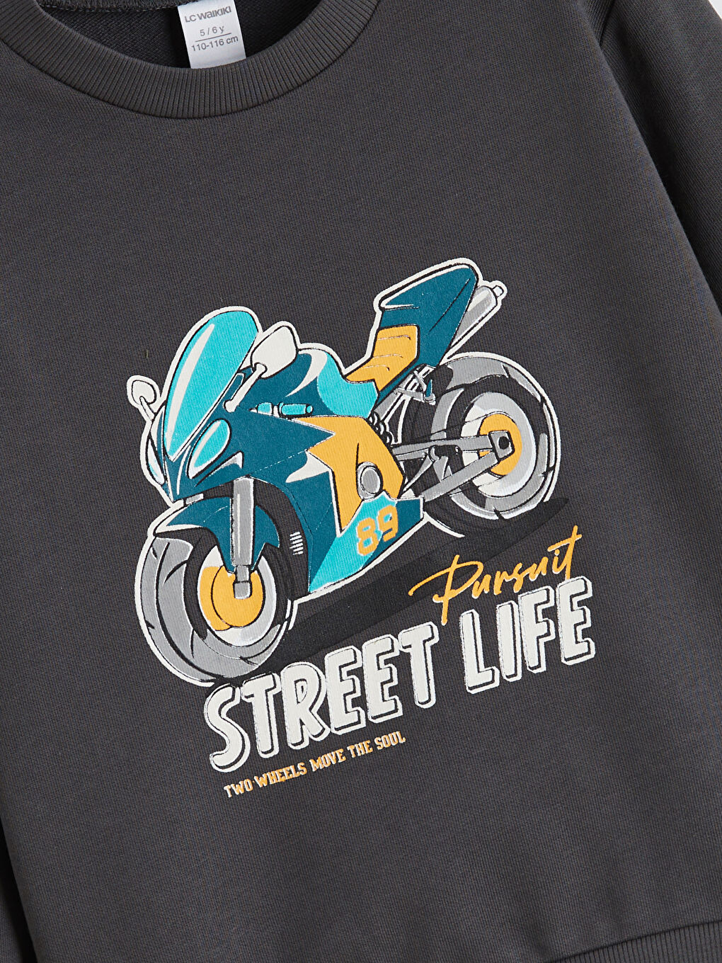 Crew Neck Printed Boys' Sweatshirt 2 Pack-2