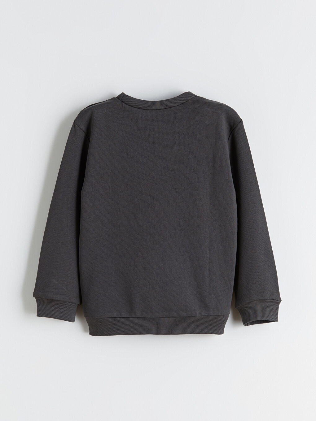 Crew Neck Printed Boys' Sweatshirt 2 Pack-3