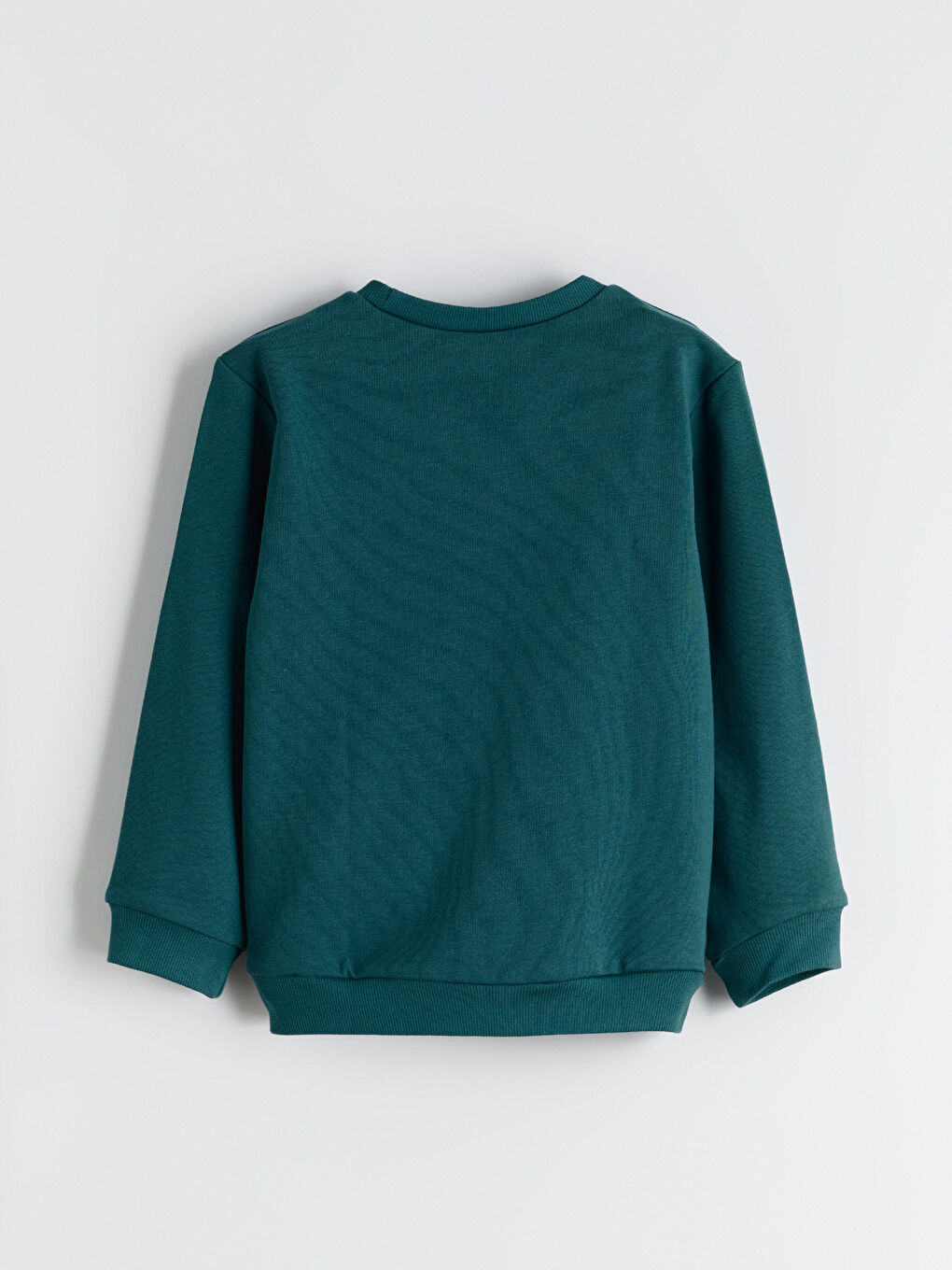 Crew Neck Printed Boys' Sweatshirt 2 Pack-6