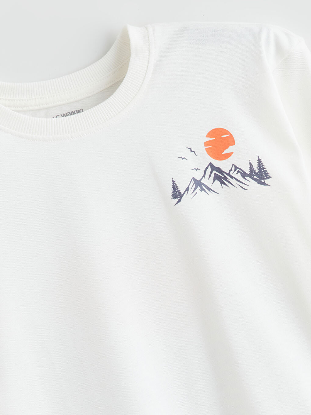 Crew Neck Printed Boys' T-Shirt-3