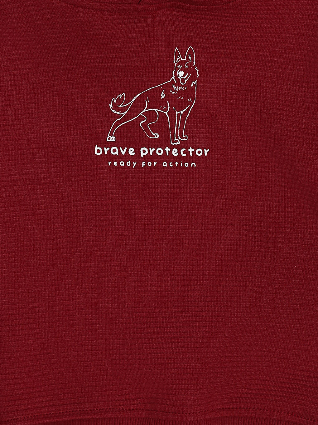 سويت شيرت للأولاد بكابوش-2