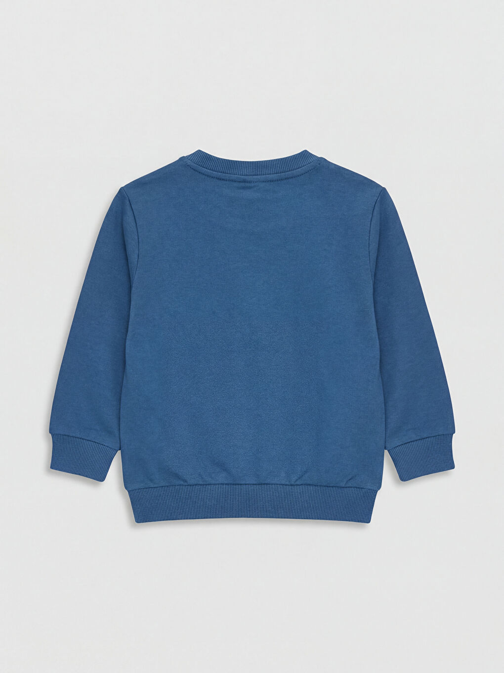 Crew Neck Printed Boys' Thick Sweatshirt-1