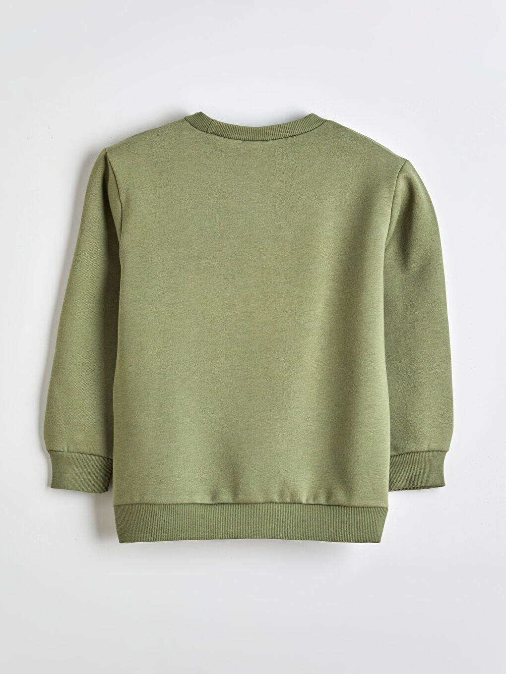 Crew Neck Printed Boys' Sweatshirt 2 Pack-2